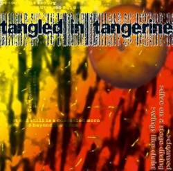 Tangled In Tangerine : Tangled in Tangerine